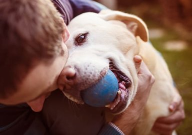 a young man enjoying pet friendly mental health facilities